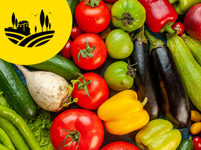 Obst & Gemüse – frische Auswahl für den Handel